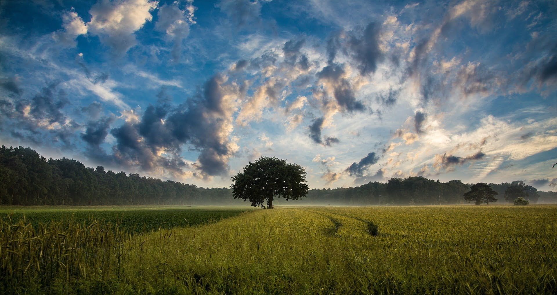 recinzione terreni agricoli