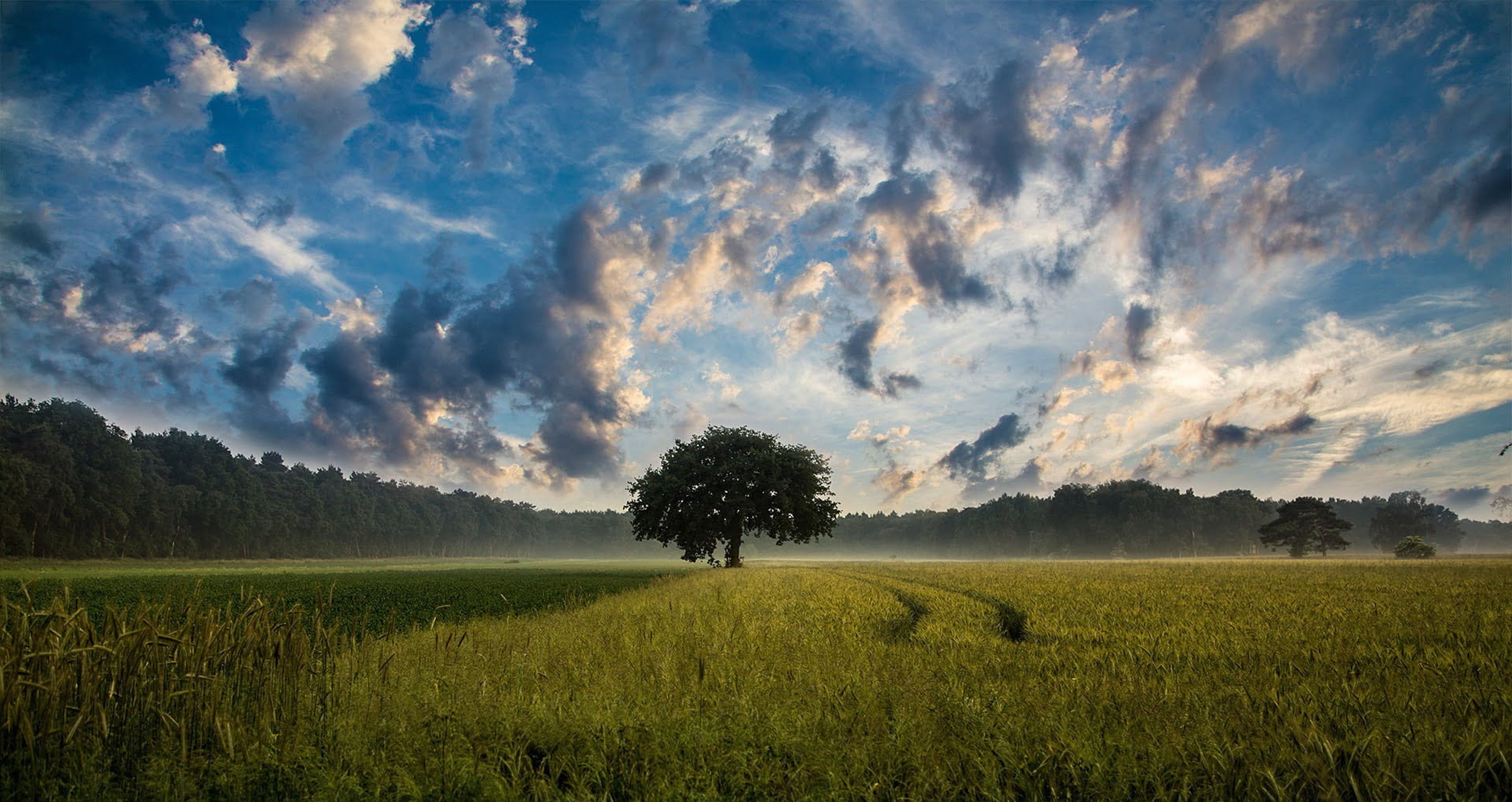 Regolamento recinzioni nei terreni agricoli: come funziona? Copertina