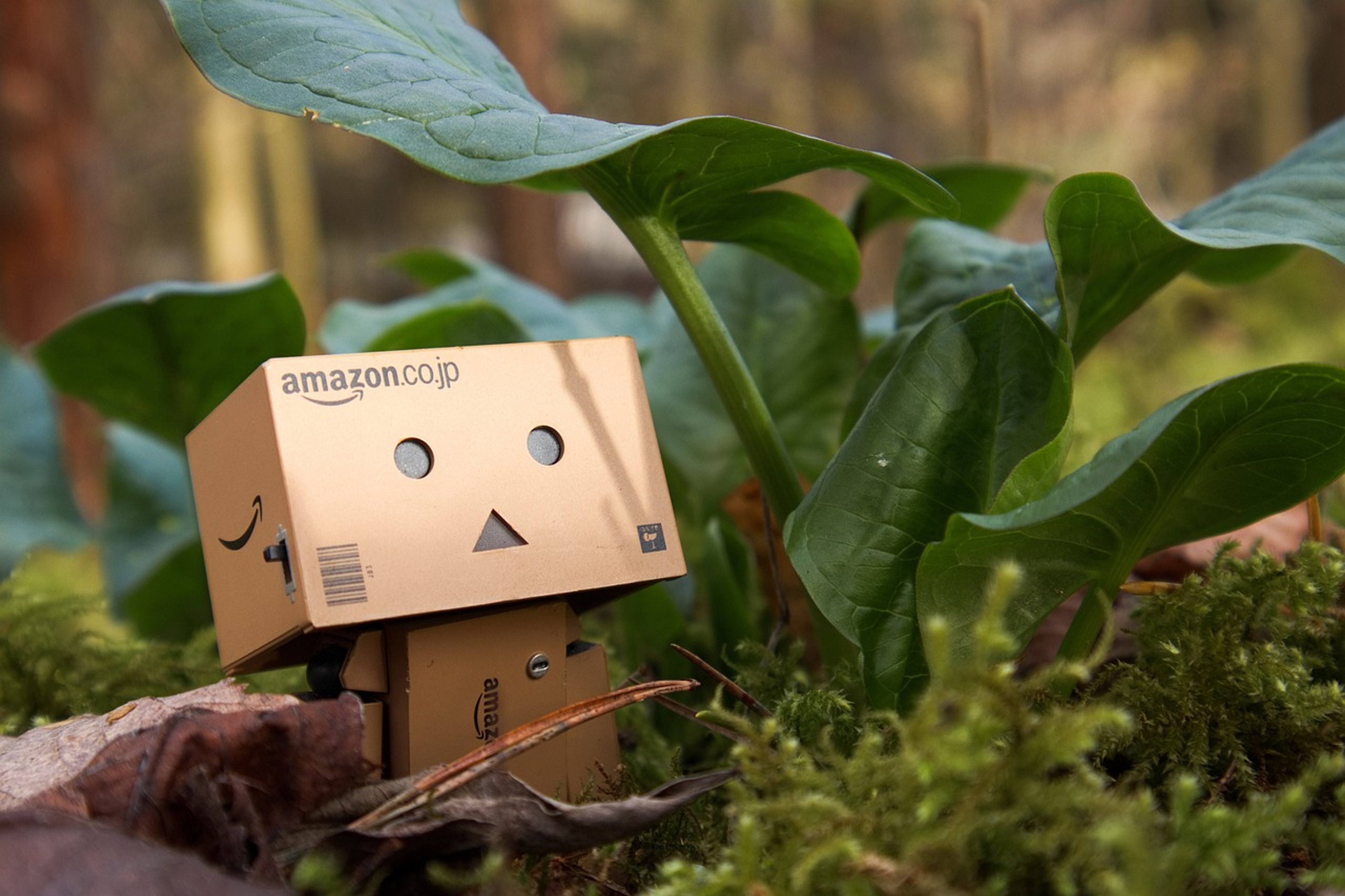 azioni amazon